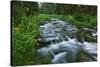 USA, California. Scenic of Coldwater Creek.-Jaynes Gallery-Stretched Canvas