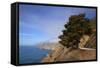 USA, California. Scenic Viewpoint of Pacific Coast Highway 1-Kymri Wilt-Framed Stretched Canvas