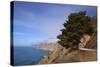 USA, California. Scenic Viewpoint of Pacific Coast Highway 1-Kymri Wilt-Stretched Canvas