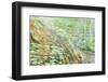 USA, California, Sequoia National Park. Scenic of Paradise Creek-Don Paulson-Framed Photographic Print