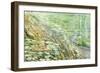 USA, California, Sequoia National Park. Scenic of Paradise Creek-Don Paulson-Framed Photographic Print