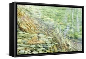 USA, California, Sequoia National Park. Scenic of Paradise Creek-Don Paulson-Framed Stretched Canvas