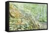 USA, California, Sequoia National Park. Scenic of Paradise Creek-Don Paulson-Framed Stretched Canvas