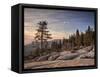 USA, California, Sequoia National Park. Sunset Near Beetle Rock Education Center-Ann Collins-Framed Stretched Canvas