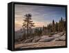 USA, California, Sequoia National Park. Sunset Near Beetle Rock Education Center-Ann Collins-Framed Stretched Canvas