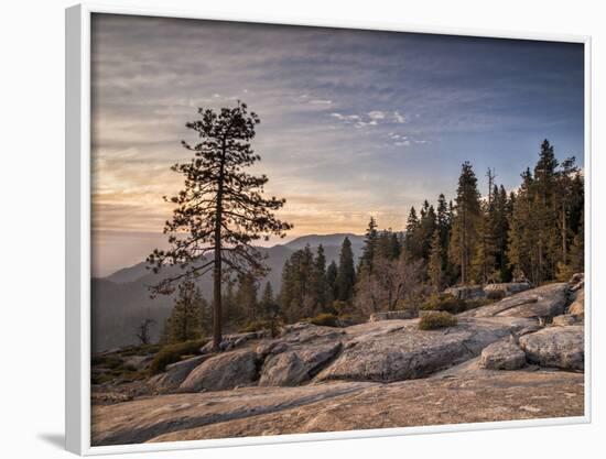 USA, California, Sequoia National Park. Sunset Near Beetle Rock Education Center-Ann Collins-Framed Photographic Print