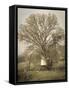 USA, California, Shell Creek Road. Windmill, water tank and oak tree.-Jaynes Gallery-Framed Stretched Canvas