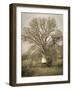 USA, California, Shell Creek Road. Windmill, water tank and oak tree.-Jaynes Gallery-Framed Photographic Print