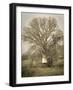 USA, California, Shell Creek Road. Windmill, water tank and oak tree.-Jaynes Gallery-Framed Photographic Print