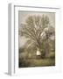 USA, California, Shell Creek Road. Windmill, water tank and oak tree.-Jaynes Gallery-Framed Photographic Print