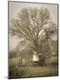 USA, California, Shell Creek Road. Windmill, water tank and oak tree.-Jaynes Gallery-Mounted Photographic Print