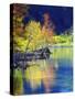 USA, California, Sierra Nevada, Aspen Tree Reflecting in Grant Lake-Jaynes Gallery-Stretched Canvas