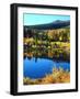 USA, California, Sierra Nevada. Autumn Reflection in a Beaver Pond-Jaynes Gallery-Framed Photographic Print