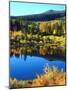 USA, California, Sierra Nevada. Autumn Reflection in a Beaver Pond-Jaynes Gallery-Mounted Photographic Print