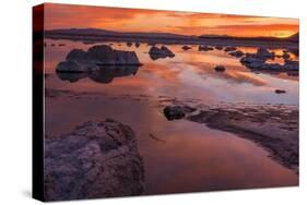 Usa, California, Sierra Nevada. Mono Lake. A breathtaking sunrise greets the da.-Betty Sederquist-Stretched Canvas