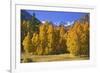 USA, California, Sierra Nevada Mountains. Aspens in autumn.-Jaynes Gallery-Framed Photographic Print