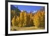 USA, California, Sierra Nevada Mountains. Aspens in autumn.-Jaynes Gallery-Framed Photographic Print