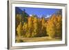 USA, California, Sierra Nevada Mountains. Aspens in autumn.-Jaynes Gallery-Framed Premium Photographic Print