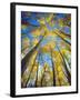 USA, California, Sierra Nevada Mountains. Fall Colors of Aspen Trees-Jaynes Gallery-Framed Photographic Print