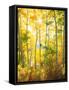 USA, California, Sierra Nevada Mountains, Fall Colors of Aspen Trees-Jaynes Gallery-Framed Stretched Canvas
