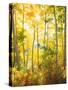 USA, California, Sierra Nevada Mountains, Fall Colors of Aspen Trees-Jaynes Gallery-Stretched Canvas