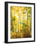 USA, California, Sierra Nevada Mountains, Fall Colors of Aspen Trees-Jaynes Gallery-Framed Photographic Print