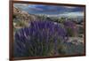 USA, California, Sierra Nevada Mountains. Landscape with Inyo bush lupine.-Jaynes Gallery-Framed Photographic Print