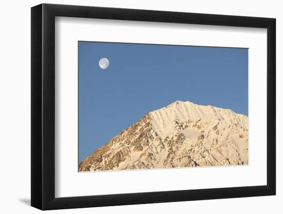 USA, California, Sierra Nevada Mountains. Moonset behind Mt. Tom.-Jaynes Gallery-Framed Photographic Print