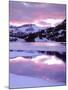 USA, California, Sierra Nevada, Mountains Reflecting in Ellery Lake-Jaynes Gallery-Mounted Premium Photographic Print