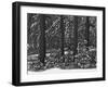 USA, California, Sierra Nevada Mountains. Winter Scenic in Forest-Dennis Flaherty-Framed Photographic Print
