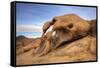 USA, California, Sierra Nevada Range. Cyclops Arch in Alabama Hills.-Jaynes Gallery-Framed Stretched Canvas