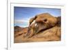 USA, California, Sierra Nevada Range. Cyclops Arch in Alabama Hills.-Jaynes Gallery-Framed Premium Photographic Print