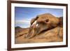 USA, California, Sierra Nevada Range. Cyclops Arch in Alabama Hills.-Jaynes Gallery-Framed Premium Photographic Print