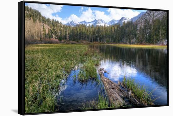 USA, California, Sierra Nevada Range. Landscape with Weir Pond-Dennis Flaherty-Framed Stretched Canvas