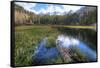 USA, California, Sierra Nevada Range. Landscape with Weir Pond-Dennis Flaherty-Framed Stretched Canvas