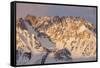 USA, California, Sierra Nevada Range. Sunrise on Basin Mountain.-Jaynes Gallery-Framed Stretched Canvas