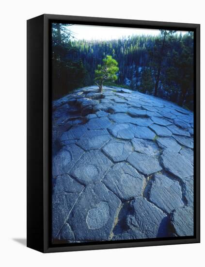 USA, California, Sierra Nevada. Rock Patterns, Devils Postpile Nm-Jaynes Gallery-Framed Stretched Canvas