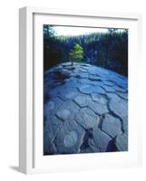 USA, California, Sierra Nevada. Rock Patterns, Devils Postpile Nm-Jaynes Gallery-Framed Photographic Print