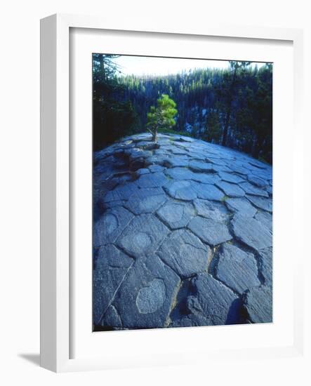 USA, California, Sierra Nevada. Rock Patterns, Devils Postpile Nm-Jaynes Gallery-Framed Photographic Print