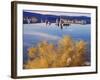 USA, California, Sierra Nevada. Tufa Formations on Mono Lake-Jaynes Gallery-Framed Photographic Print