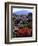 USA, California, Sierra Nevada, Wildflowers in the High Sierra-Jaynes Gallery-Framed Photographic Print