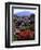 USA, California, Sierra Nevada, Wildflowers in the High Sierra-Jaynes Gallery-Framed Photographic Print