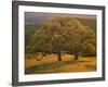USA, California, South Coast Range, Valley Oaks and Grasses Glow in Sunset Light-John Barger-Framed Photographic Print