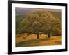 USA, California, South Coast Range, Valley Oaks and Grasses Glow in Sunset Light-John Barger-Framed Photographic Print