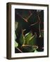 USA, California, Torrey Pines State Park. Patterns of an Agave Plant-Jaynes Gallery-Framed Photographic Print