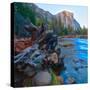 USA, California. Tree roots in Merced river in the Yosemite Valley.-Anna Miller-Stretched Canvas