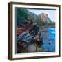 USA, California. Tree roots in Merced river in the Yosemite Valley.-Anna Miller-Framed Photographic Print