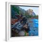 USA, California. Tree roots in Merced river in the Yosemite Valley.-Anna Miller-Framed Photographic Print