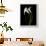 USA, California. Two calla lily flowers.-Jaynes Gallery-Framed Photographic Print displayed on a wall