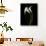 USA, California. Two calla lily flowers.-Jaynes Gallery-Framed Stretched Canvas displayed on a wall